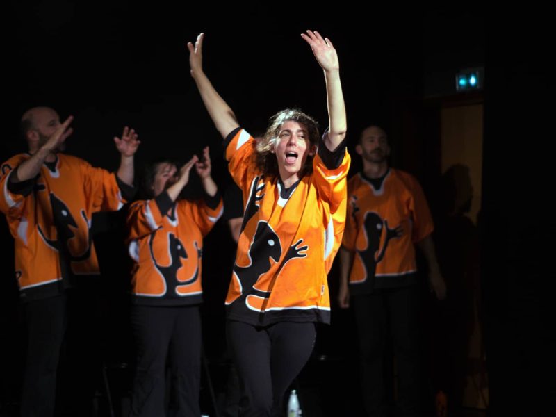 Troupe d'improvisation - Match La Licœur